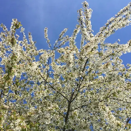 Seezeichen-apartment No 26 Apartmán Bodman-Ludwigshafen