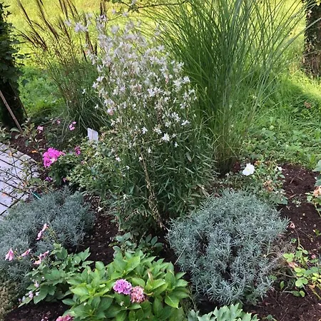 Seezeichen-apartment No 26 Apartmán *