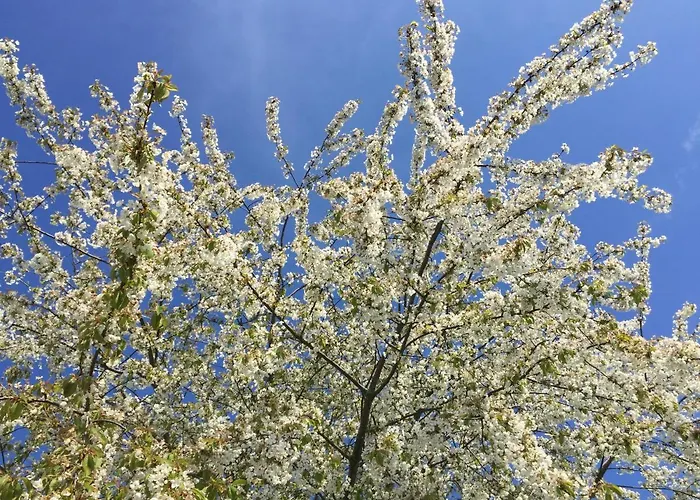 Seezeichen-apartment No 26 Appartement Bodman-Ludwigshafen