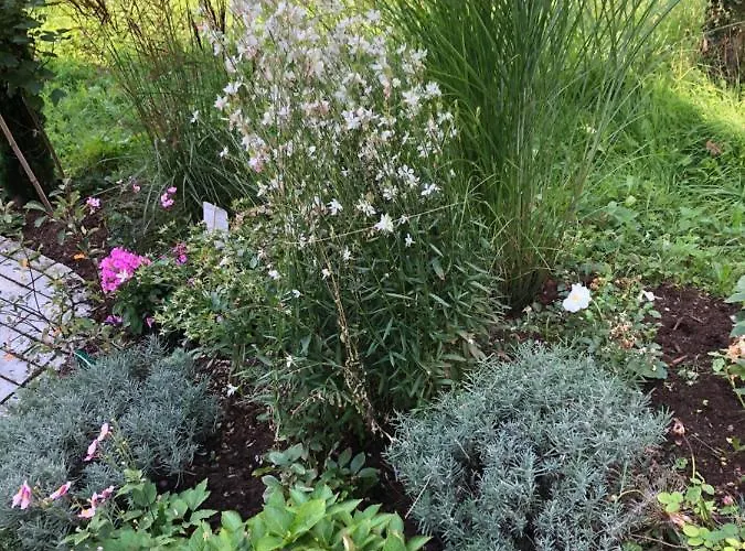 Seezeichen-apartment No 26 Appartement *