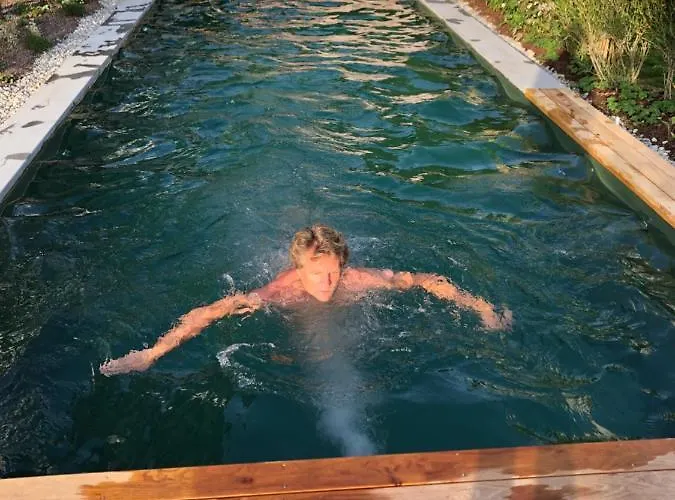 Seezeichen-apartment No 26 * Bodman-Ludwigshafen